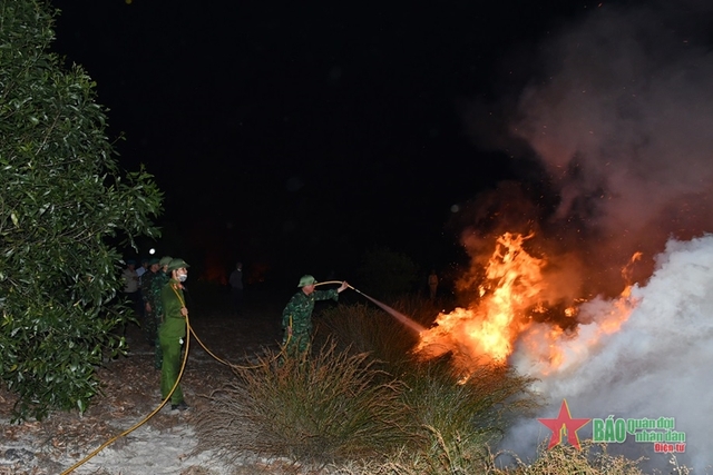 Huy động 300 người chữa cháy rừng ven biển Quảng Bình - Ảnh 4.
