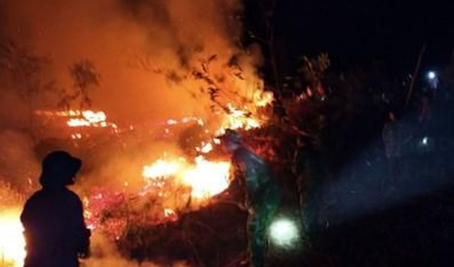 Nỗ lực dập tắt cháy rừng trong đêm tại Lăng Cô - Ảnh 1.