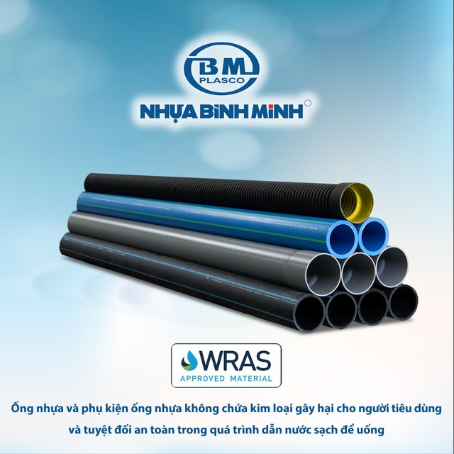 Nhựa Bình Minh - Vì nguồn nước sạch, khai mở ngành ống nhựa Việt Nam - Ảnh 2.