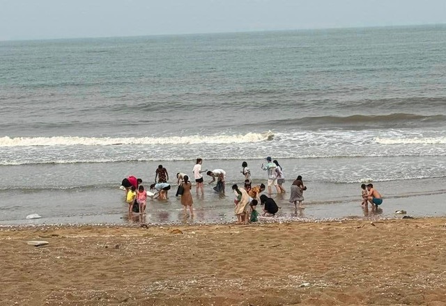 Hà Tĩnh: Hàng tấn ngao tím dạt vào bờ biển - Ảnh 5.