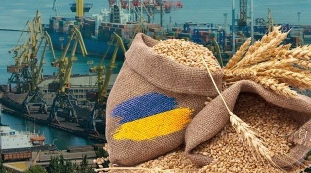 Châu Âu đạt thỏa thuận về hạn chế nông sản Ukraine - Ảnh 1.
