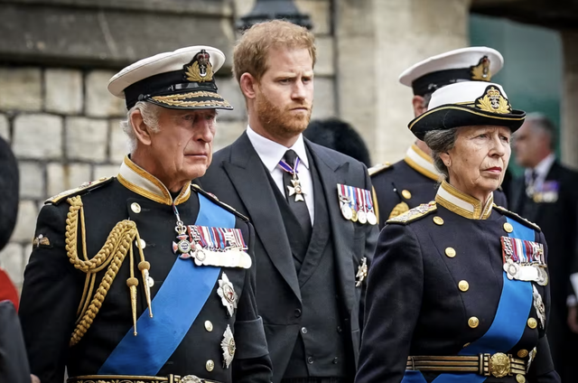 Vua Charles công bố danh hiệu mới cho Hoàng tử William, Hoàng tử Harry rơi nước mắt - Ảnh 1.