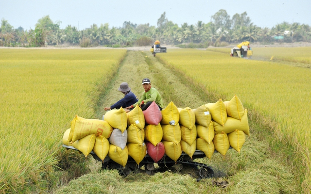 Việt Nam sẽ đảm bảo xuất khẩu hơn 8 triệu tấn gạo trong năm 2024 - Ảnh 1.
