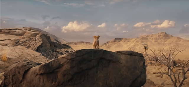 Phần tiền truyện phim “Vua sư tử” sẽ ra rạp vào cuối năm nay - Ảnh 3.