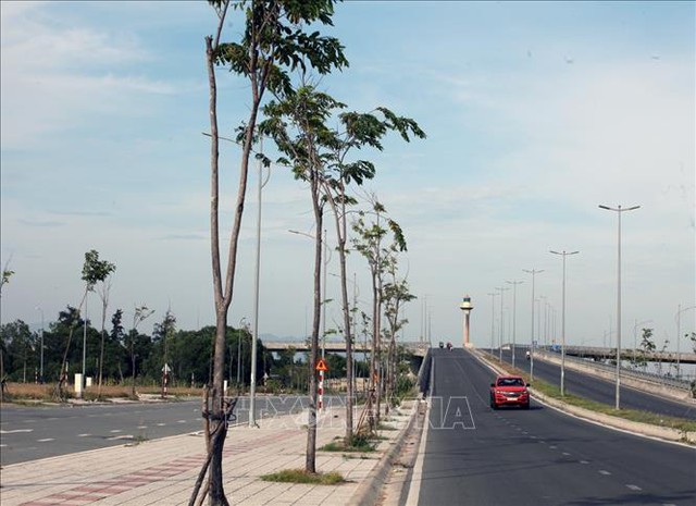 Phú Yên: Khẩn trương rà soát, báo cáo các dự án liên quan đến hai doanh nghiệp Thuận An và Công Minh - Ảnh 1.