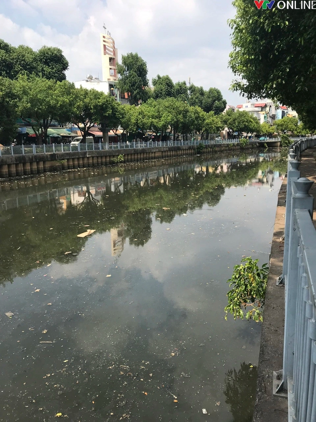 TP Hồ Chí Minh: Xử lý cá chết nổi lềng bềnh trên kênh Nhiêu Lộc - Thị Nghè - Ảnh 6.