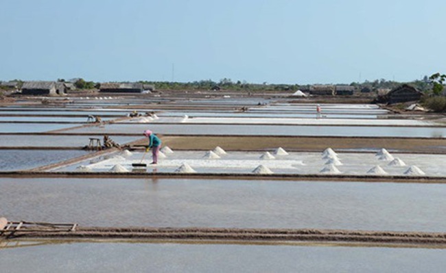 Ben Tre Province's salt producers work on salt field. Ben Tre, one of the largest salt producers in the Cuu Long (Mekong) Delta, has harvested 30 per cent more salt this season. — VNA/VNS Photo Mai Hung Thinh