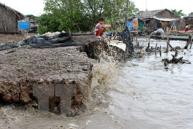 Part of the coastal system is in an extremely bad condition in Song Doc town, Tran Van Thoi district. Photo: VNA