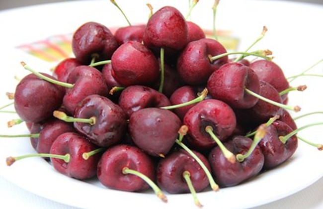 Cherries from the Province of British Columbia, Canada