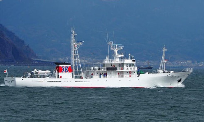 Ship HAYATO, is 56.13 metres in length and 9 metres wide with a gross tonnage of 1,079 tonnes (Photo: Marinetraffic)