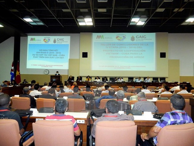 Overview of the conference (Source: VNA)