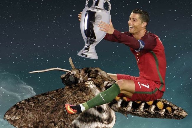 Bạn là fan cuồng của Ronaldo và cũng là một người thích xem ảnh meme? Hãy đừng bỏ qua những bức ảnh Ronaldo meme tuyệt vời này!