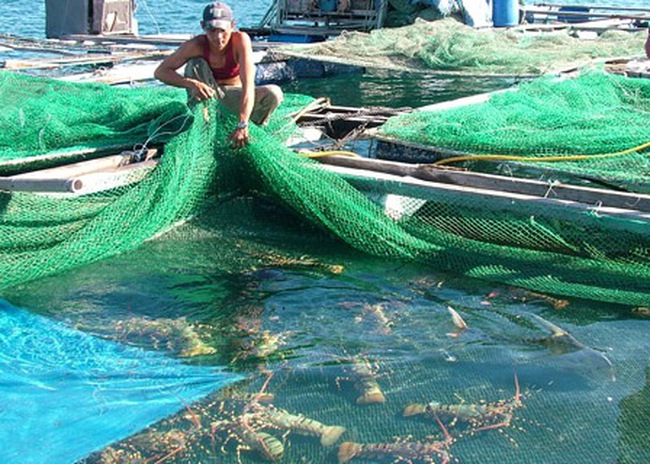 (Photo: worldfishing.net)