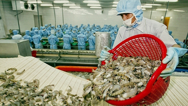Vietnam is currently the largest shrimp supplier of the RoK, providing 49% of total shrimp imports.