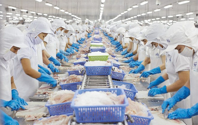 Vietnam’s export turnover of aquatic products was estimated at US$727 million.
