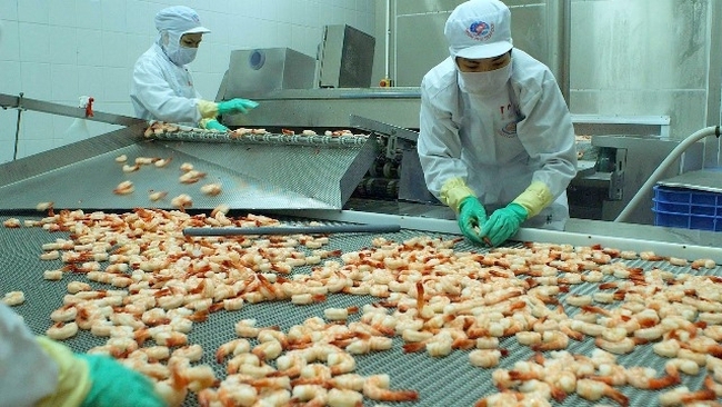 Processing seafood for export (Photo: VNA)