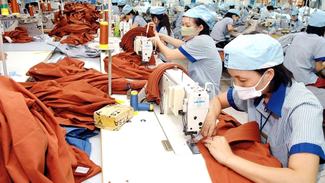 Vietnamese enterprises expect opportunities from a series of RTAs/FTAs