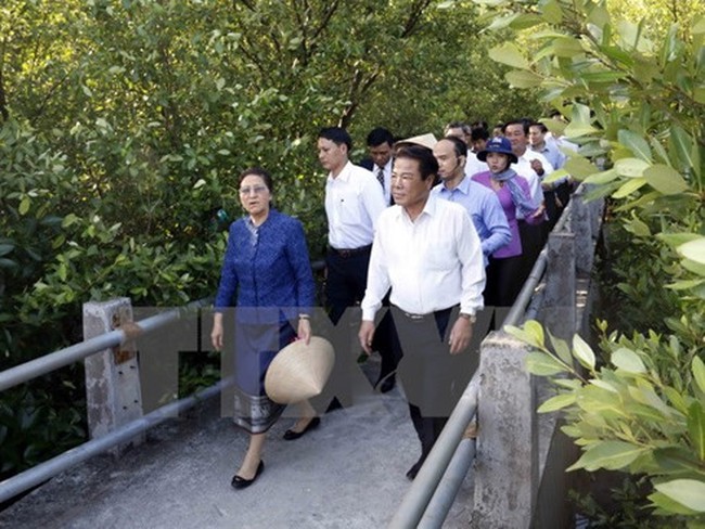 Chairwoman of the Lao National Assembly Pany Yathotou (L) and other Lao officials visit a submerged forest in Dat Mui commune, Ngoc Hien district of Ca Mau province.