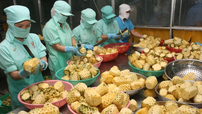 Vietnam reported record export revenues from fruit and vegetables at US$2.7 billion over the first eight months of 2018. (illustrative image)