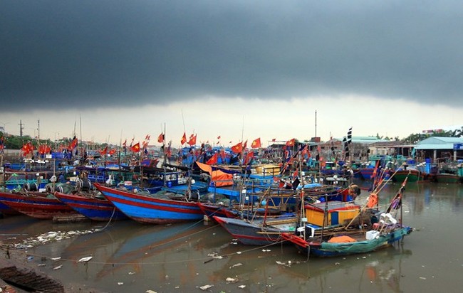 Boats at Ngoc Hai fishing port in Do Son district, Hai Phong city (Photo: VNA)