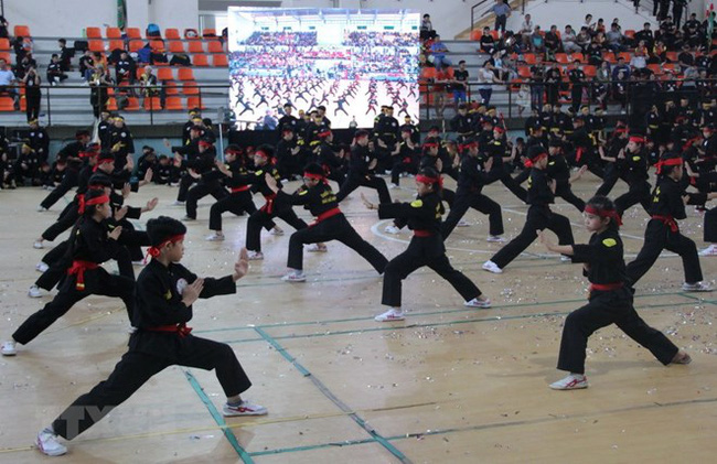 A mass performance at the opening ceremony of the fifth HCM City International Traditional Martial Arts Festival (Photo: VNA)