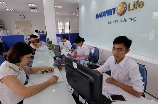 Investors make transactions at Bao Viet Life’s Nam Dinh branch. (Source: VNA)