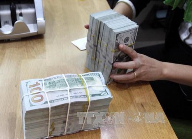 The daily reference exchange rate rose 10 VND to 22,654 VND/USD on July 24 (Photo: VNA)
