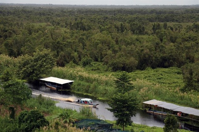 U Minh Thuong in the southern province of Kien Giang is one of the eight wetlands in Vietnam recognised as Ramsar sites (Photo: VNA)