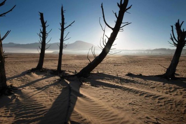 Cape Town's dams are now just 24.9% full (Photo: AFP)