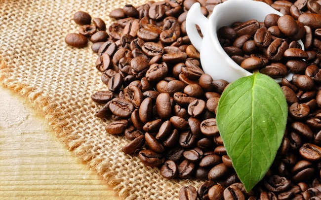 Coffee is among Vietnam's key agricultural products exported to the EU market.