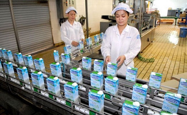 Dairy giant Vinamilk maintains its top position in the list of 40 most valuable brands in 2018 of Forbes Vietnam (Photo: VNA)