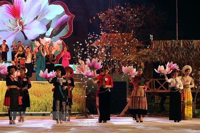 Art performance at the Ban Flower Festival in 2018 (Source: VNA)