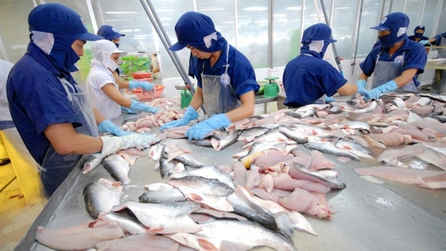 The Vietnamese aquatic industry is expected to gain total export revenue of US$10 billion in 2019, an annual increase of 10-12%. (Illustrative image)