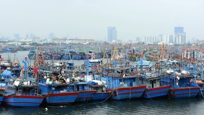 Thousands of fishing boats safely anchored in Tho Quang wharf in Da Nang. (Photo: NDO/Thanh Tung)