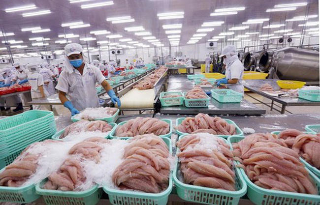 Tra fish processed for exports (Photo: VNA)