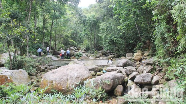 Tay Yen Tu Nature Reserve in Bac Giang (Photo: VNA)