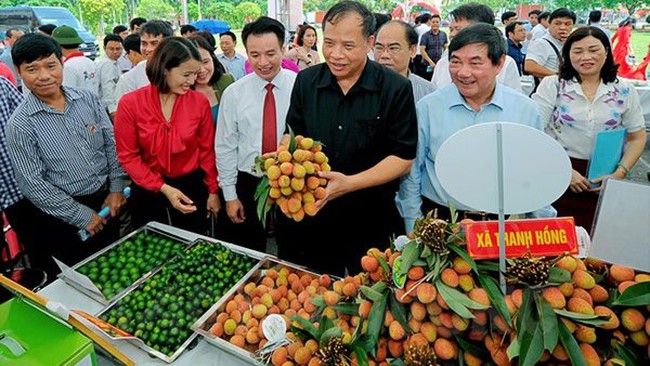 Delegates visit pavilions at the festival. (Photo: baohaiduong.vn)