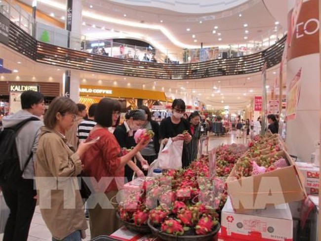 Japanese consumers select to buy Vietnamese dragon fruits (Photo: VNA)