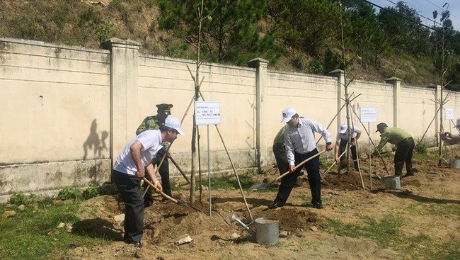 Local people plant trees at the tree planting festival in Dak Glei district on June 5. (Photo: baotainguyenmoitruong)