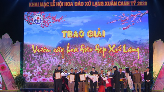 The organising board will award the prize for most beautiful peach blossom to the 16 most beautiful peach blossom gardens in the districts and city of Lang Son Province.