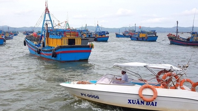 Boats safely moored at Dan Phuoc fishing port, Song Cau town in Phu Yen province. (Photo: NDO/Trinh Ke)