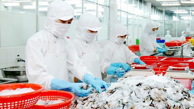 Vietnamese seafood exports to the EU and UK reached US$263 million in August and September, up 17.1% over the same period last year.