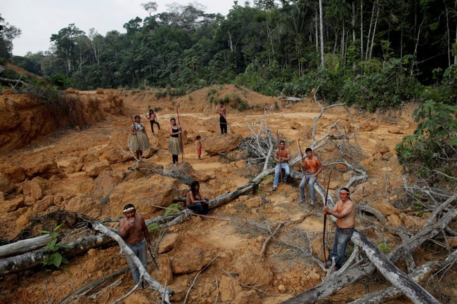 Tình trạng phá rừng Amazon lên mức kỷ lục | VTV.VN
