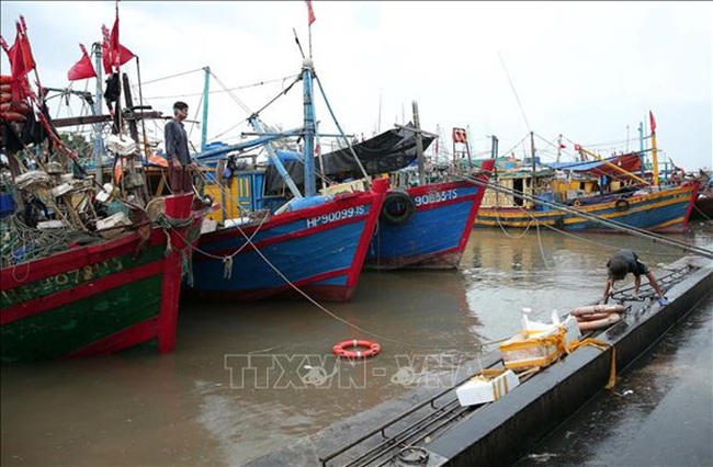 Boats docked at Ngoc Hai fishing port in Hai Phong city for shelter during storm (Photo: VNA)