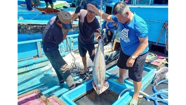 Vietnamese tuna exports to the EU up 0.5% year-on-year to US$126 million during January-November. (Photo: VNA)