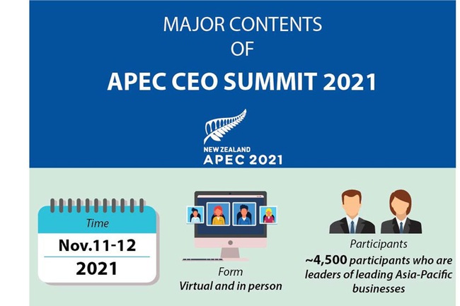 Major contents of APEC CEO Summit 2021 | VTV