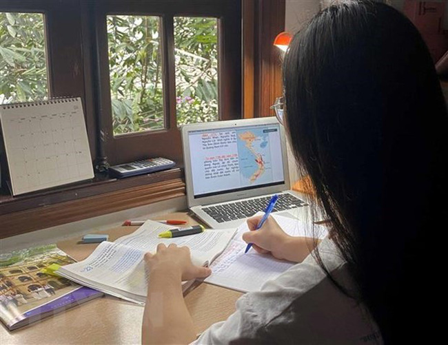 A student study online (Photo: VNA)