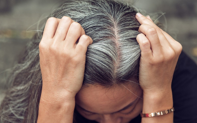 Tóc bạc không thuốc nhuộm có thể trở thành lợi thế của bạn nếu biết cách phối đồ và chăm sóc tóc đúng cách. Hãy xem hình ảnh liên quan để tìm kiếm những gợi ý và mẹo để sở hữu một mái tóc bạc đẹp và tỏa sáng.
