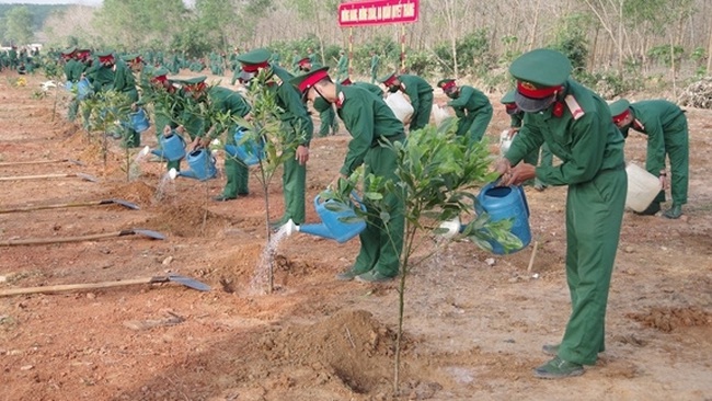 The whole country will embrace the tree-planting festival with even higher determination in order to plant additional one billion trees in the 2021-2025 period. (Illustrative image/qdnd.vn)