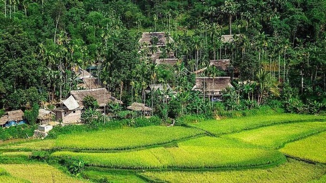 Pristine and quiet are common feelings of visitors once they get closer to the core of the Pu Luong Nature Reserve